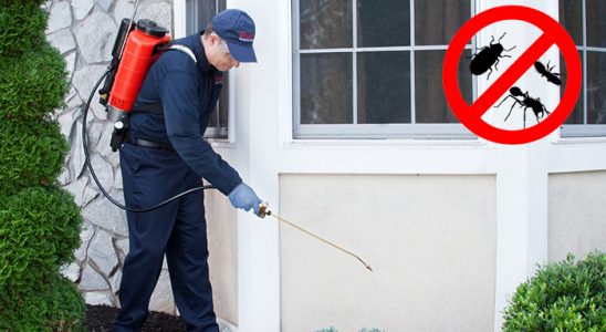 Kuyucak Böcek ve Haşere İlaçlama böcek ilaçlama ve haşere kontrolü — ilaclama-tr.com